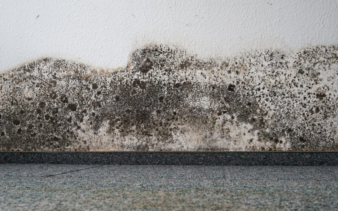 Problèmes d’humidité des murs dans les maisons